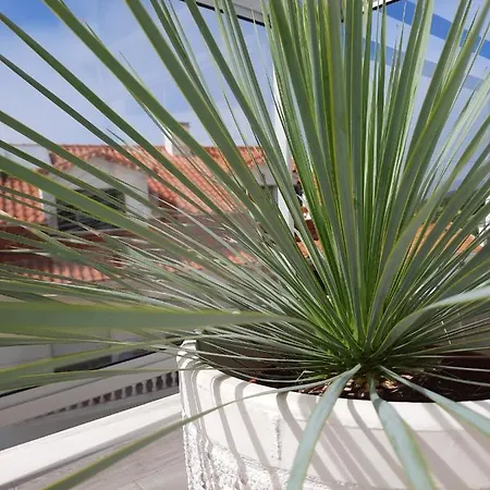 Sitius 5b - New Seaview With Rooftop Terrace In Historical Centre Sitio Da Daire