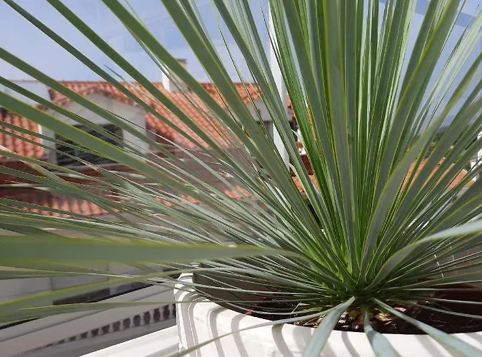 Sitius 5b - New Seaview With Rooftop Terrace In Historical Centre Sitio Da Apartamento
