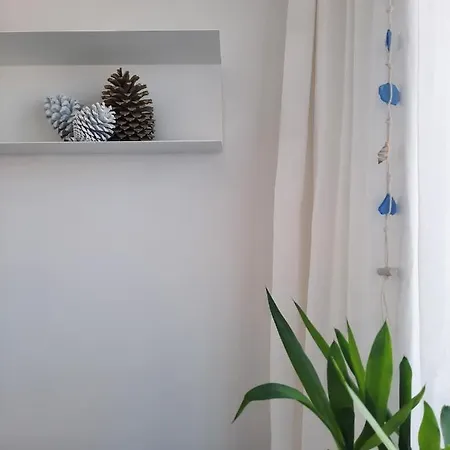 Sitius 5b - New Seaview With Rooftop Terrace In Historical Centre Sitio Da Nazare